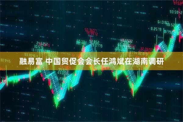 融易富 中国贸促会会长任鸿斌在湖南调研