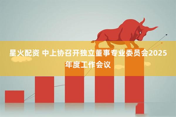 星火配资 中上协召开独立董事专业委员会2025年度工作会议